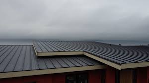 Roof Coating Services in Piedmont, CA